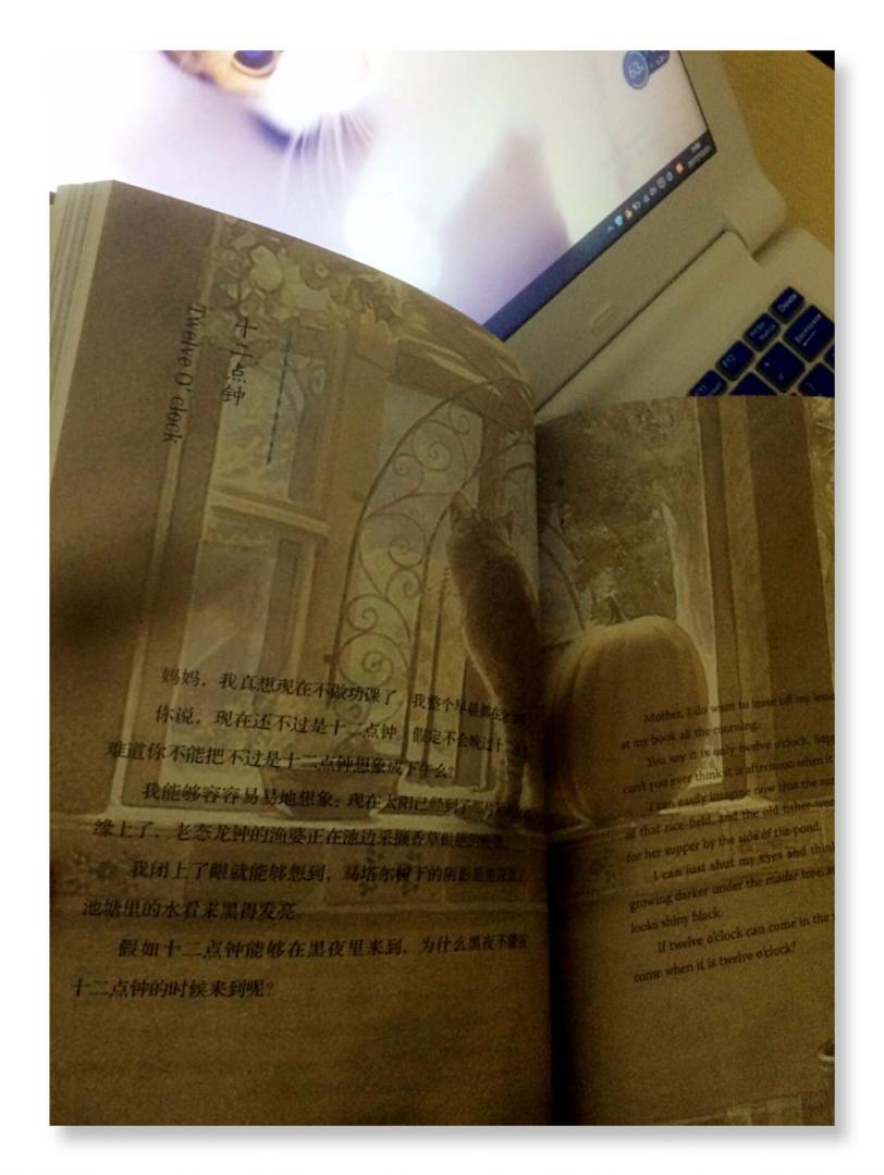 友在我面前总是说要读经典诗歌就读泰戈尔。我一脸不屑的说:“徒有文字之美,情感太丰盈和细腻”我再读岂不更矫情?是的,我这个矫情的老文青还是再读了泰戈尔。今天来为人民文学出版社的泰戈尔的《生如夏花》疯狂打call。促使我买这本书首先是中英文互译,看完汉语的我回头再看英语,同时体会到两种语言的表达之美。然后是书中的插画,就像泰戈尔在诗歌中的信手拈来的意向,有星辰、有河流、有孩童、有母亲.......而那些致爱至纯至美的东西不正置身都市的我们的渴求吗?拿着这本书,我能想到的最美的画面就是:一个三五岁的宝宝安静的躺在床上,麻麻手捧《生如夏花》一字一句的念着: “孩子 你真是快活呀 一早晨坐在泥土里 耍着折下来的小树枝儿。 我微笑地看你在那里耍着那根折下来的小树枝儿。 我正忙着算帐 一小时一小时在那里加叠数字 ......”听!多么温柔的声音,伴随着爱、簇拥着温暖、萦绕在这间摆满公仔和堆放积木的小屋,此刻孩子虽然不懂诗句的意境和语言美,但是一定感知到了母亲温暖而深沉的爱。