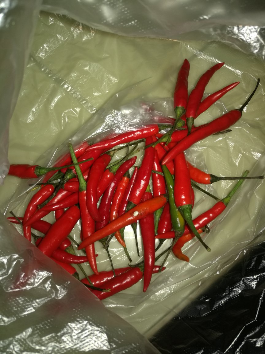 还没吃,看起来还行!!*