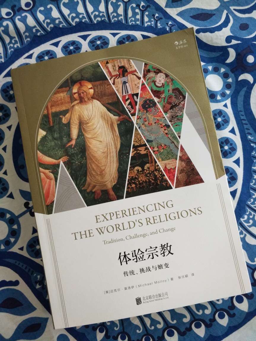 《体验宗教》后浪出品,装帧、版面、印刷、用纸一如既往的烂!建议把好题材的书转给社会科学文献出版社出版吧,省着大家闹心!《胡族文物研究》九色鹿系列,填坑!《国王的两个身体》没设计外封挺遗憾! ???