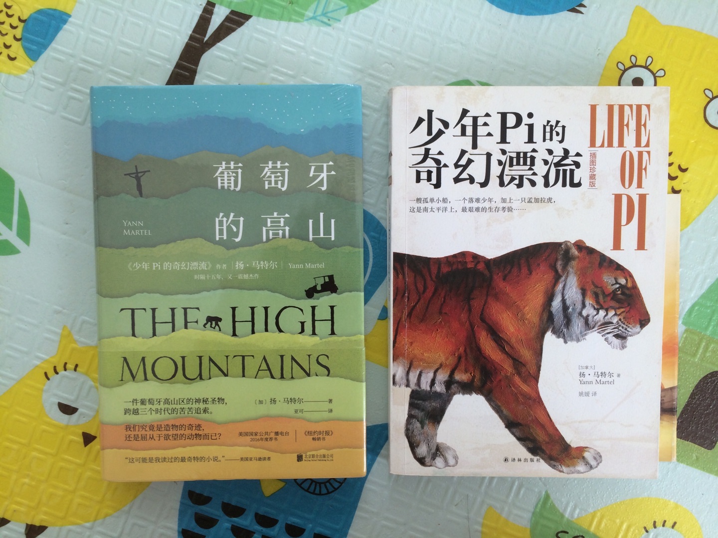 大家可以对比下,这本书和少年π。两本书整体厚度什么的都差不多,开本也差不多,这本书就是传说中的精装版,多了硬壳,然后价格高了很多。具体内容还没有看,暂时没有办法评价。