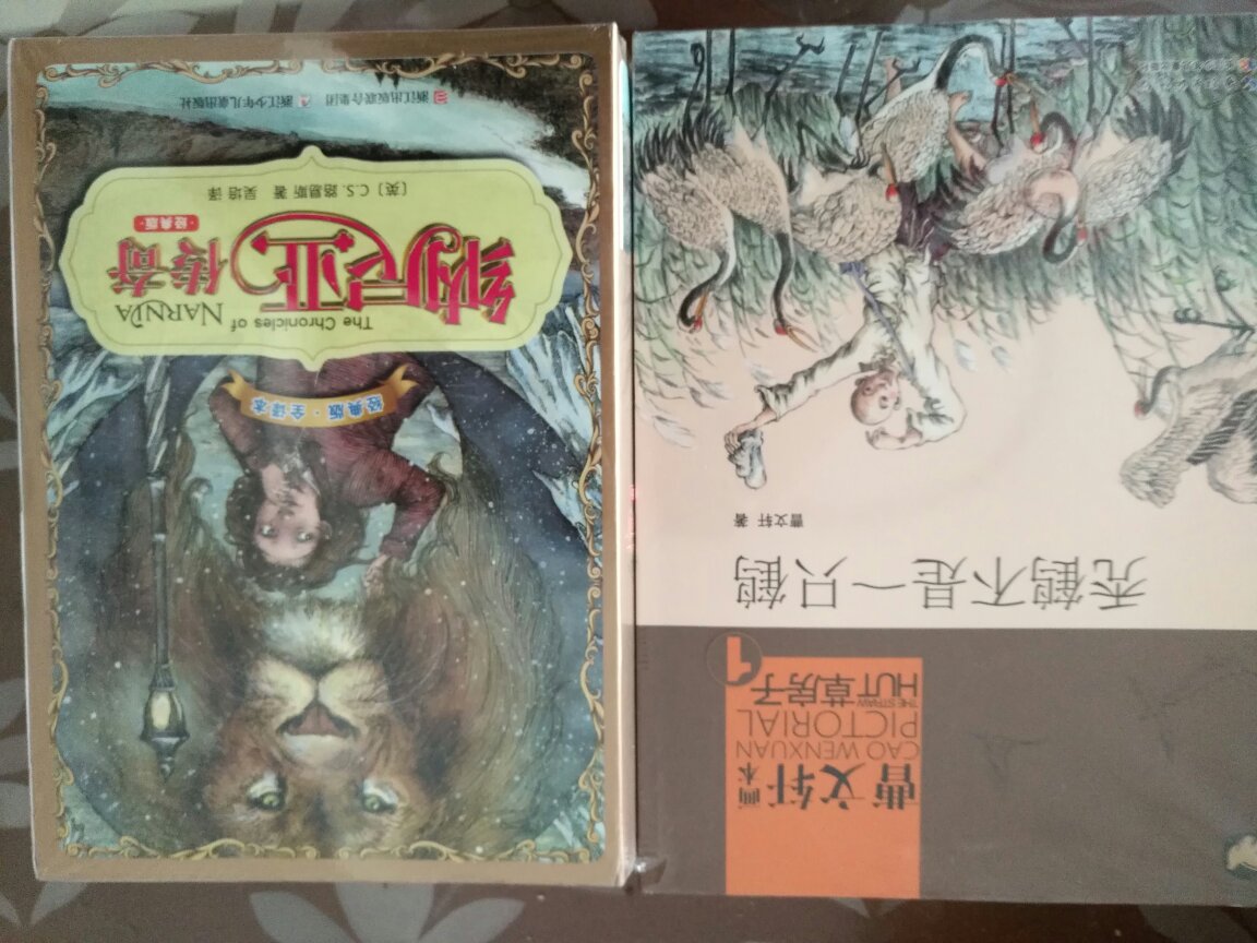 300-100一单新年大促,很多有特价,没有券只买一单,比较超值。此书送给大宝,虽然是一本书精编的绘图版,总比厚厚一本书来得有趣,读书和做人,读好书,做好人!多点正能量!
