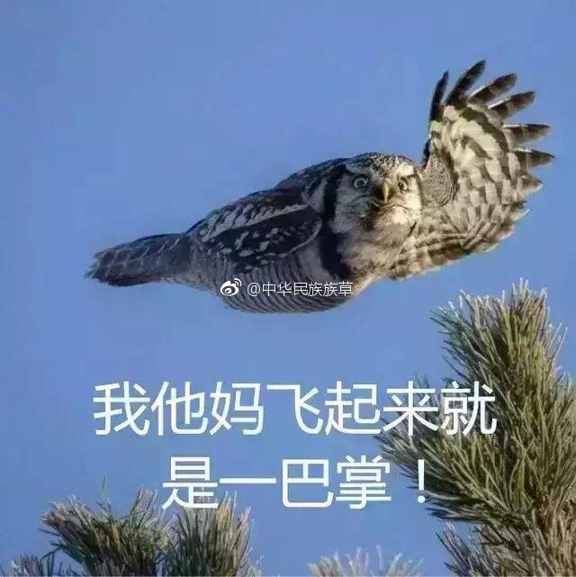 还行 没想象中那么薄 但也没想象中那么大