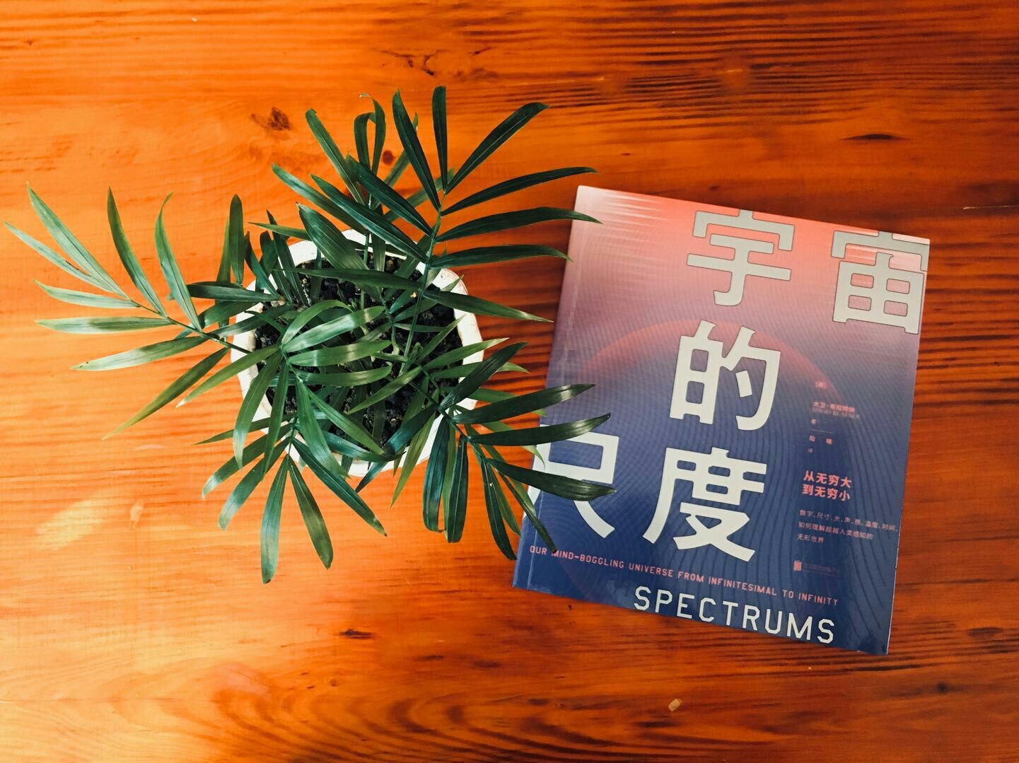 这些短篇小说具有纯净的魔力。它们带着优雅、智慧和对节奏的超凡敏锐,为爱尔兰优秀的短篇小说传统增添了新的篇章,它使得克莱尔•吉根成为爱尔兰小说家中集原创与传统于一身的重要一员。