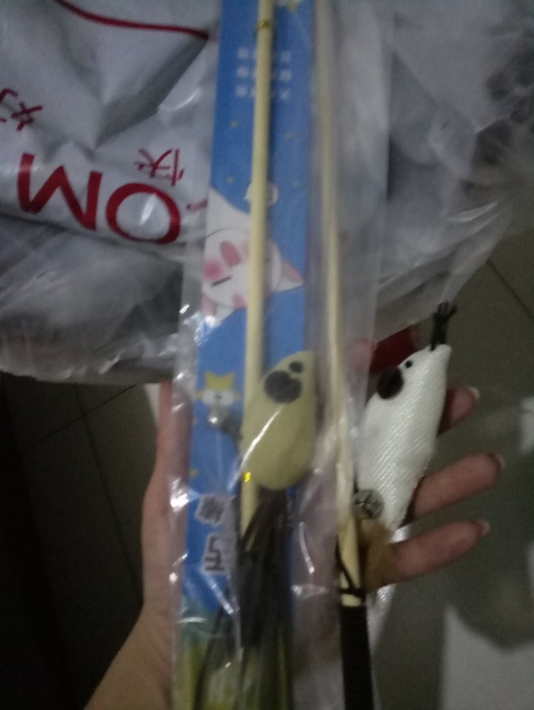 小猫很喜欢