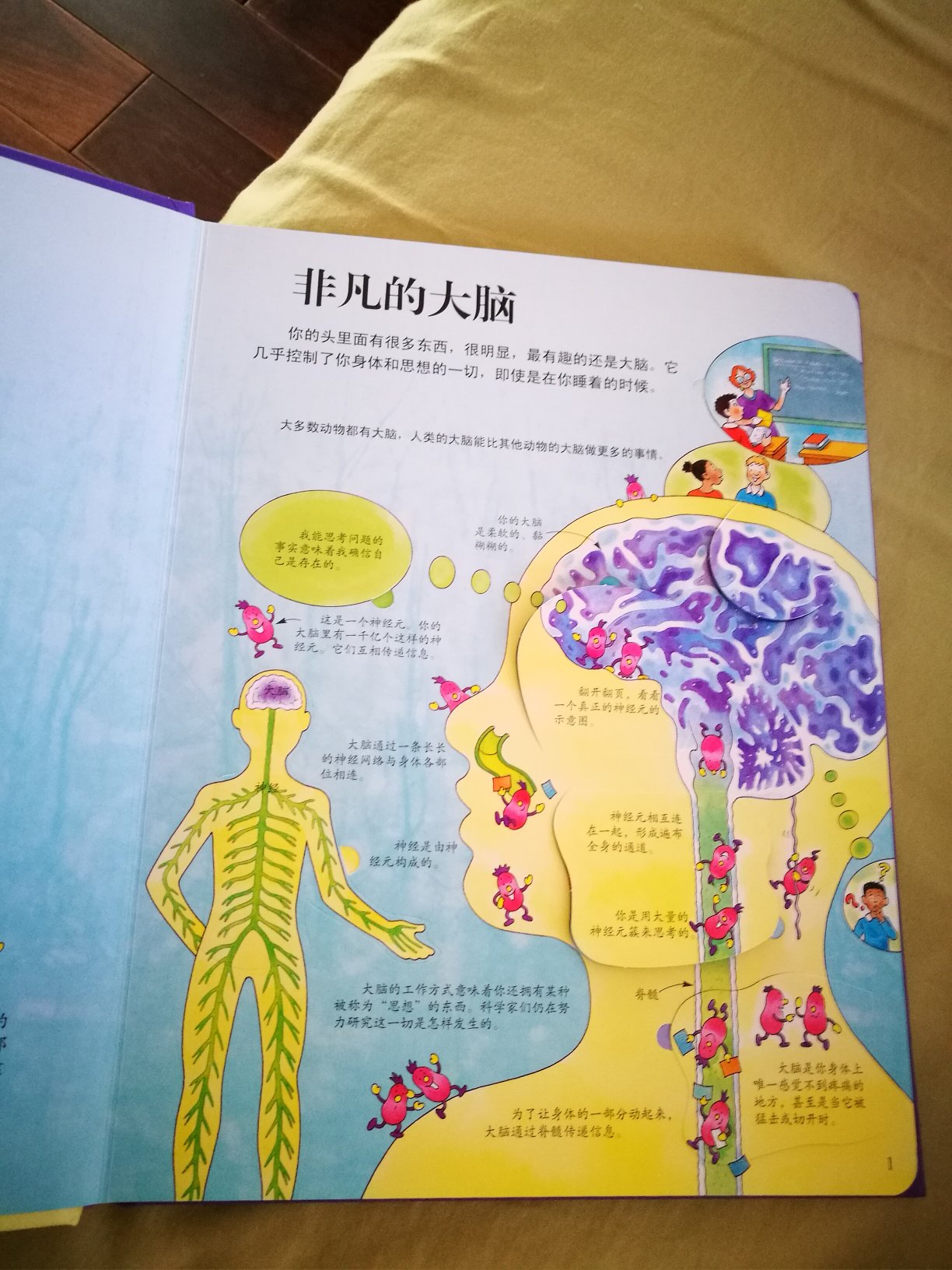 双12活动买的质量特别好,内容也很简单明了,对于低年龄段的孩子,了解大脑的基本知识非常有帮助,里面有很多的翻页,孩子看起来也非常有兴趣