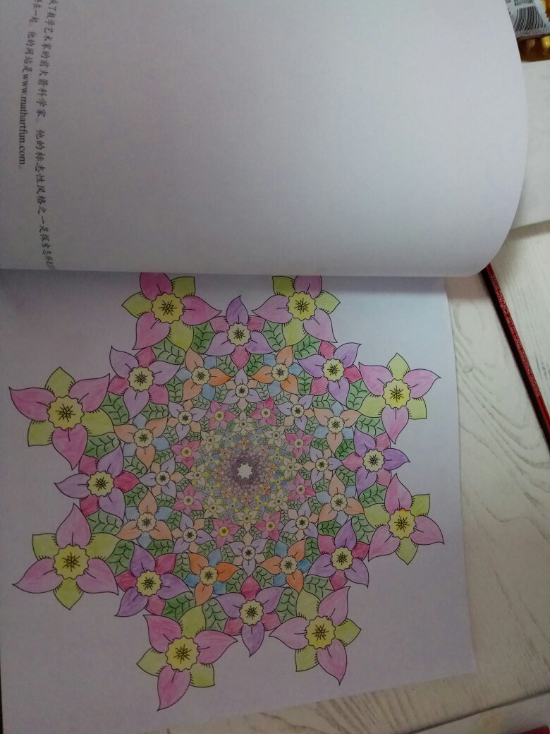 非常好的一本图书,培养了孩子的专注力,又增加孩子的空间逻辑思维能力。对数学图形的认识增强了很多。快递也很快前天晚上拍的,第二天就到了。