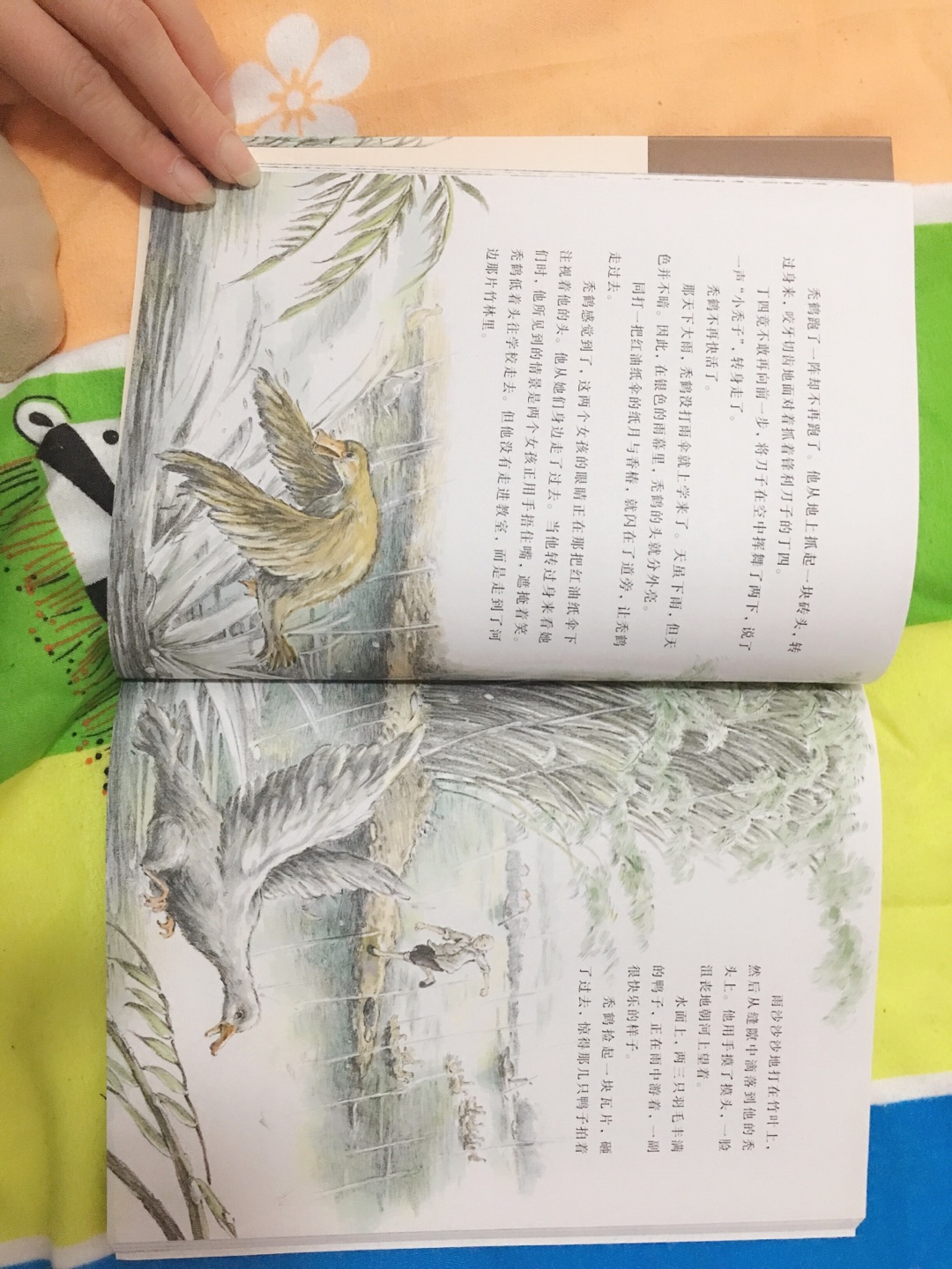 曹文轩的作品适合孩子看,更适合大人看。他自觉地关注少年儿童的内心世界和精神状态,告诉我们苦难是我们一定会经历的,我们要直面它,淡然处之。