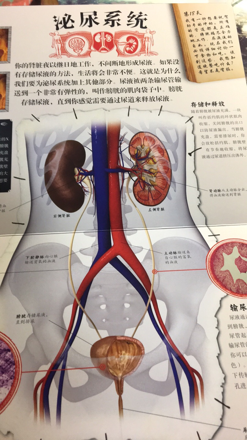 这本书挺有意思的,包装精美、印刷清晰,儿子现在对自己不知道的事情都很好奇,希望能解决他脑袋里的十万个为什么,增加他的阅读面。