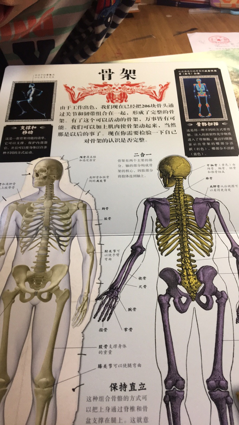 这本书挺有意思的,包装精美、印刷清晰,儿子现在对自己不知道的事情都很好奇,希望能解决他脑袋里的十万个为什么,增加他的阅读面。