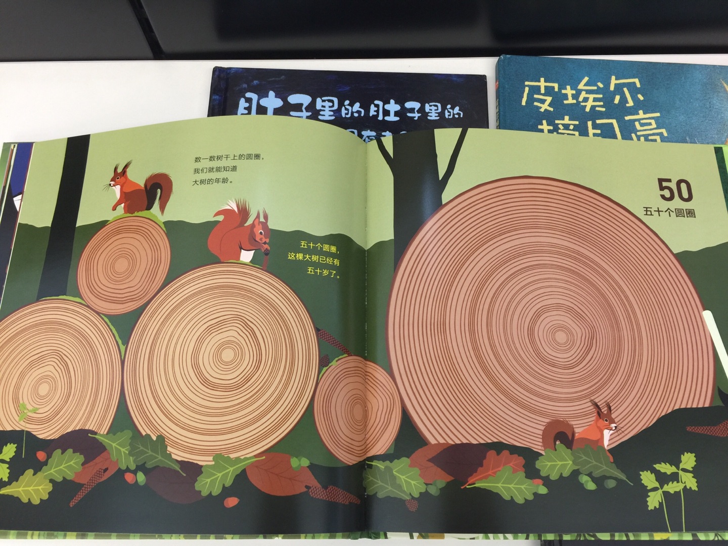 这本书相当不错!除了简单的数量的概念,还有小科普。我还特地数了下树的年轮跟百足虫的脚,数量是对的,良心书啊。*元10本买的,特别喜欢