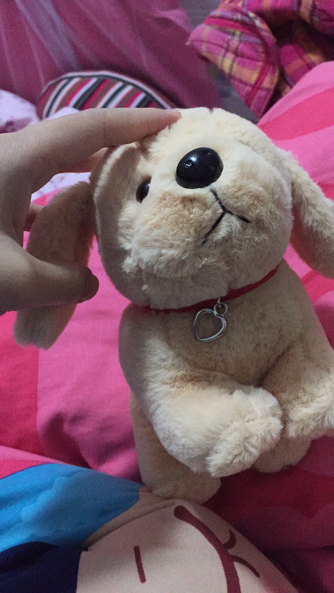 项圈与图片不一样,质量挺好的,摸着滑滑的很舒服 小只 嘴巴歪了 希望做的再细致点就更好看了 狗年行大运