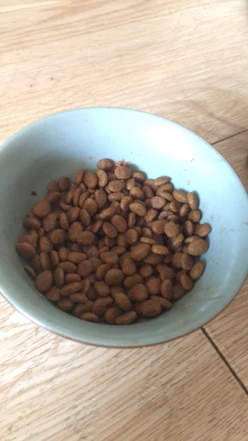 猫咪爱吃,有的猫粮怕猫咪不吃