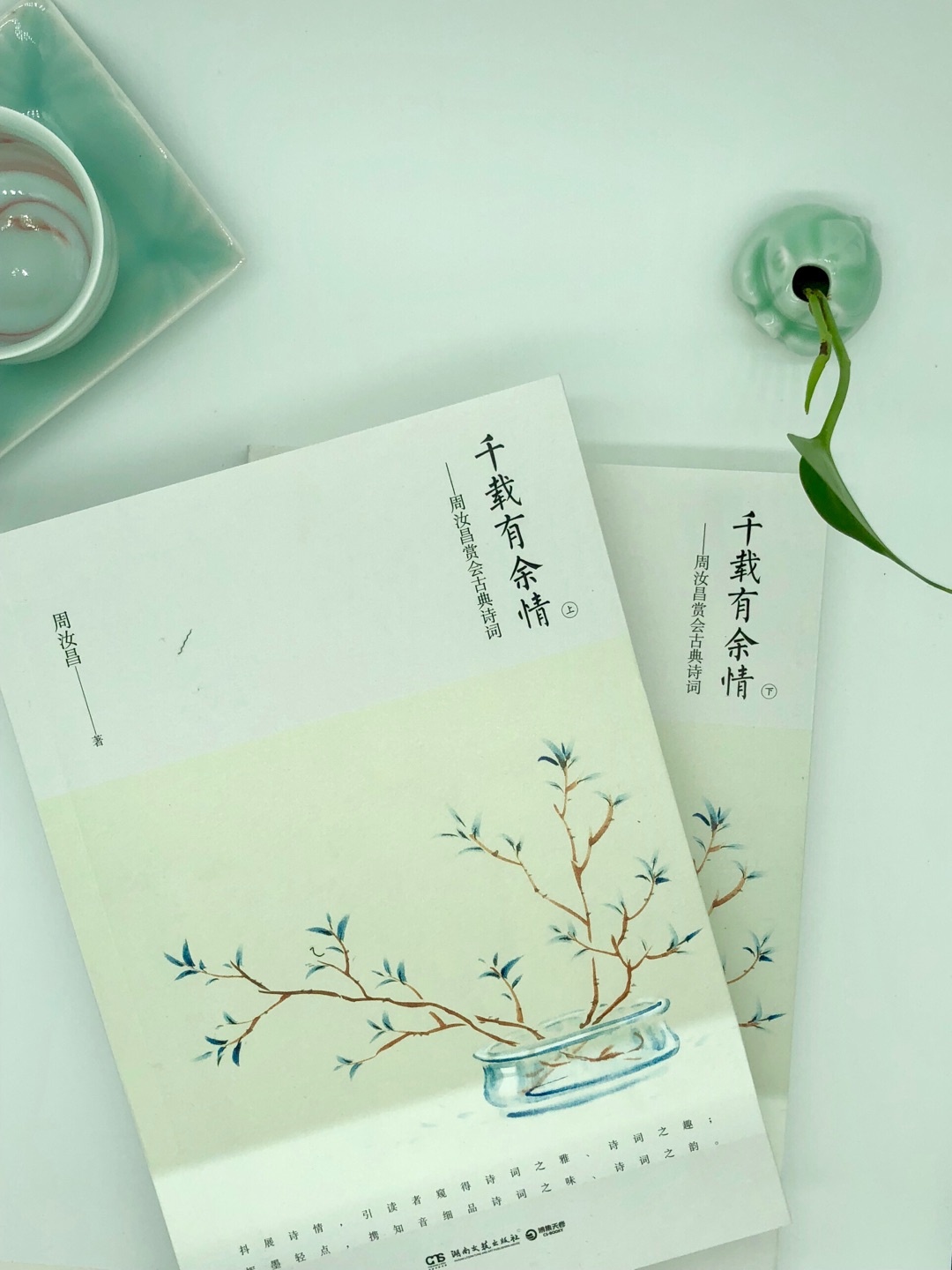 挺经典的,觉得挺可爱,就像我对诗词的概念一样,可爱!周汝昌明明诗词造诣很高,甚至高于红学,但为啥大家不太知道呢?速度很快当天就到,包装完好。满意的一次购书。