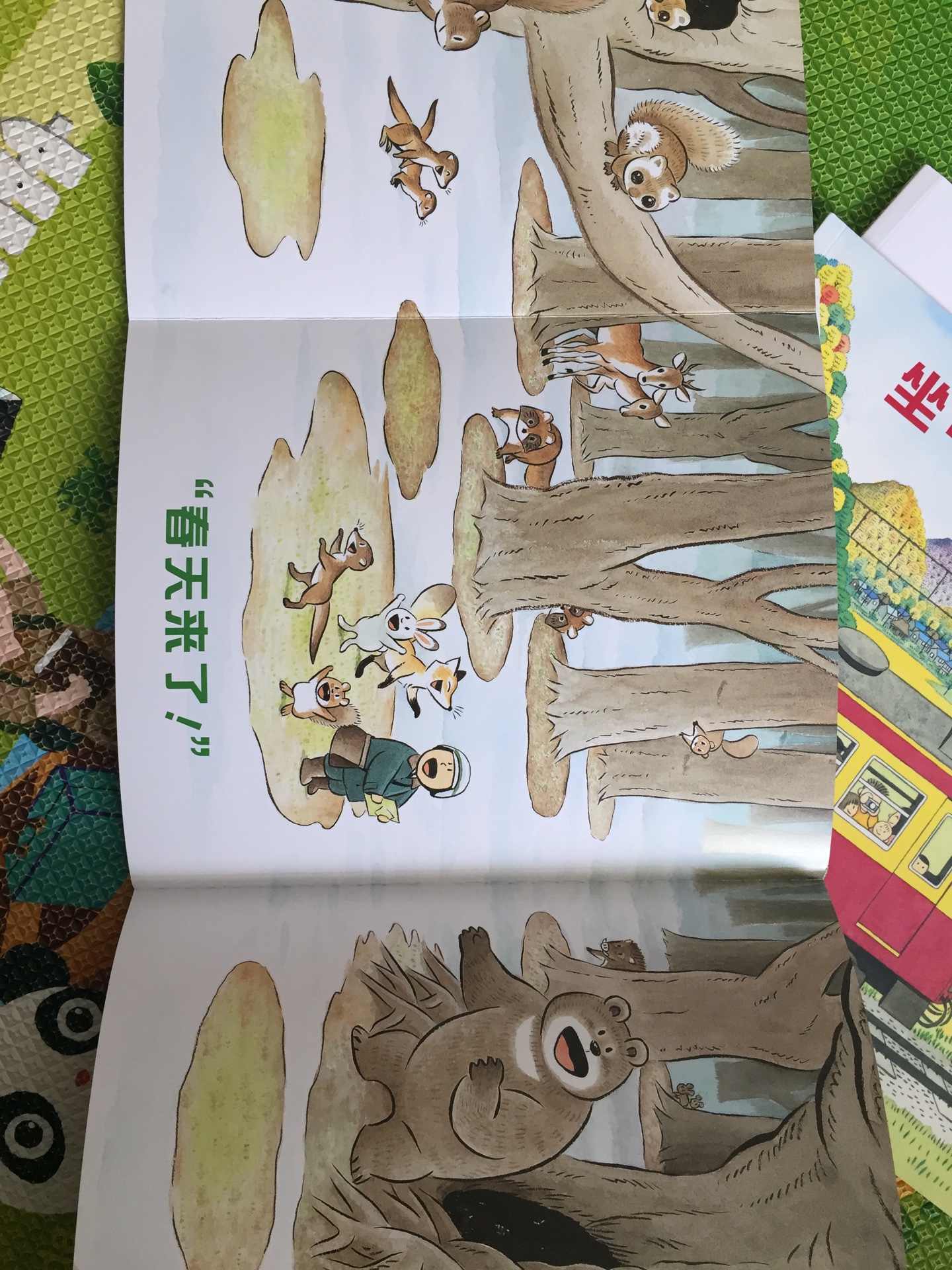 强烈推荐这套书给大家。温暖的故事,美丽的画风,有趣的书页结构,这套书能让宝宝看很久,爸爸妈妈可以自由发挥给宝宝讲很多东西。只是发现书里的交通信号灯大多是蓝色的,得和宝宝解释。