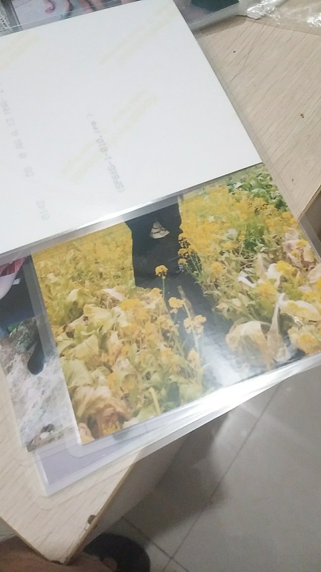 效果一般。有些图片洗得不是很好