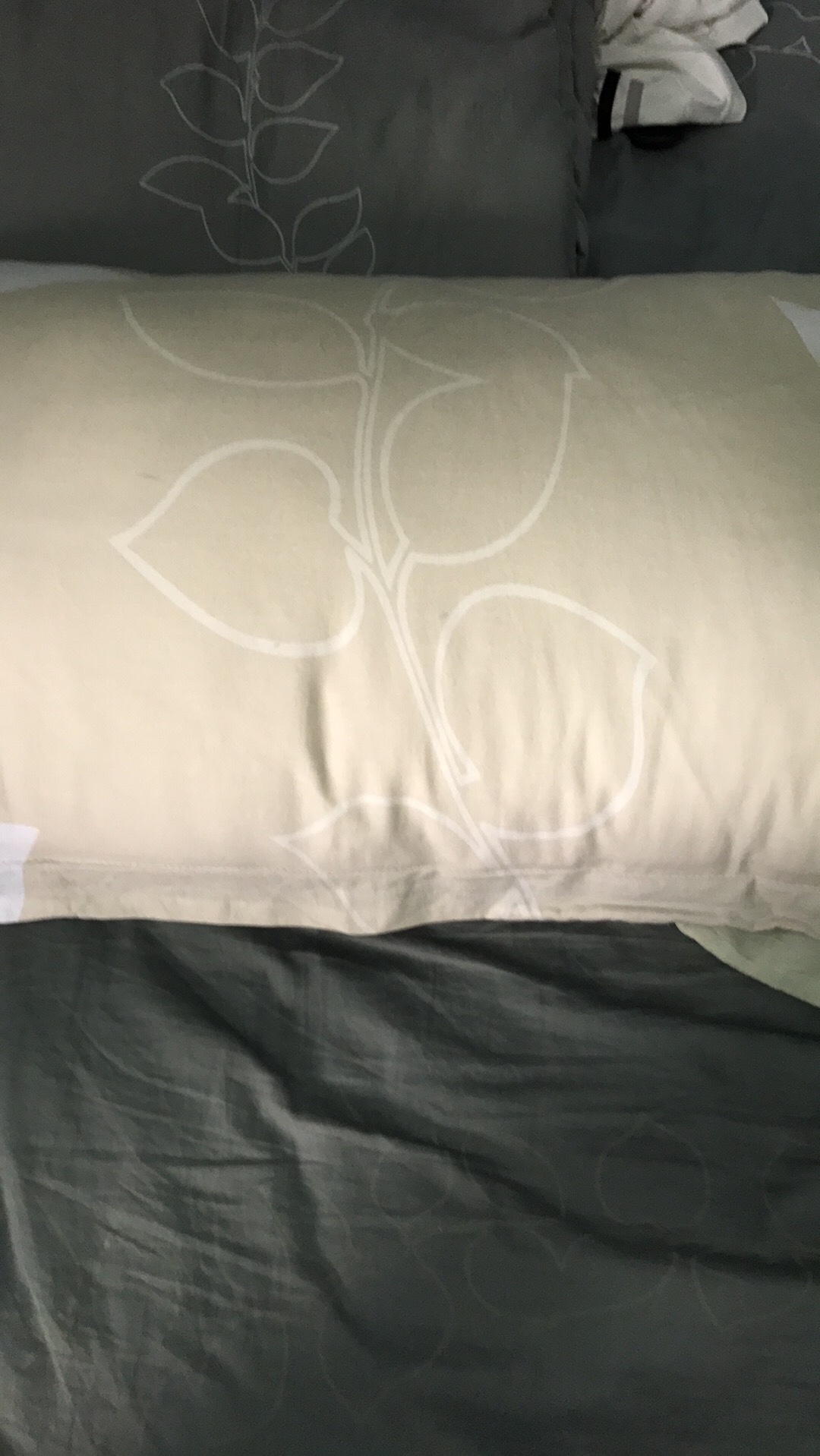 不错,挺弹的,不知道能用多长时间。的速度真快,昨天晚上下单,今天上午就到了。必须的五分