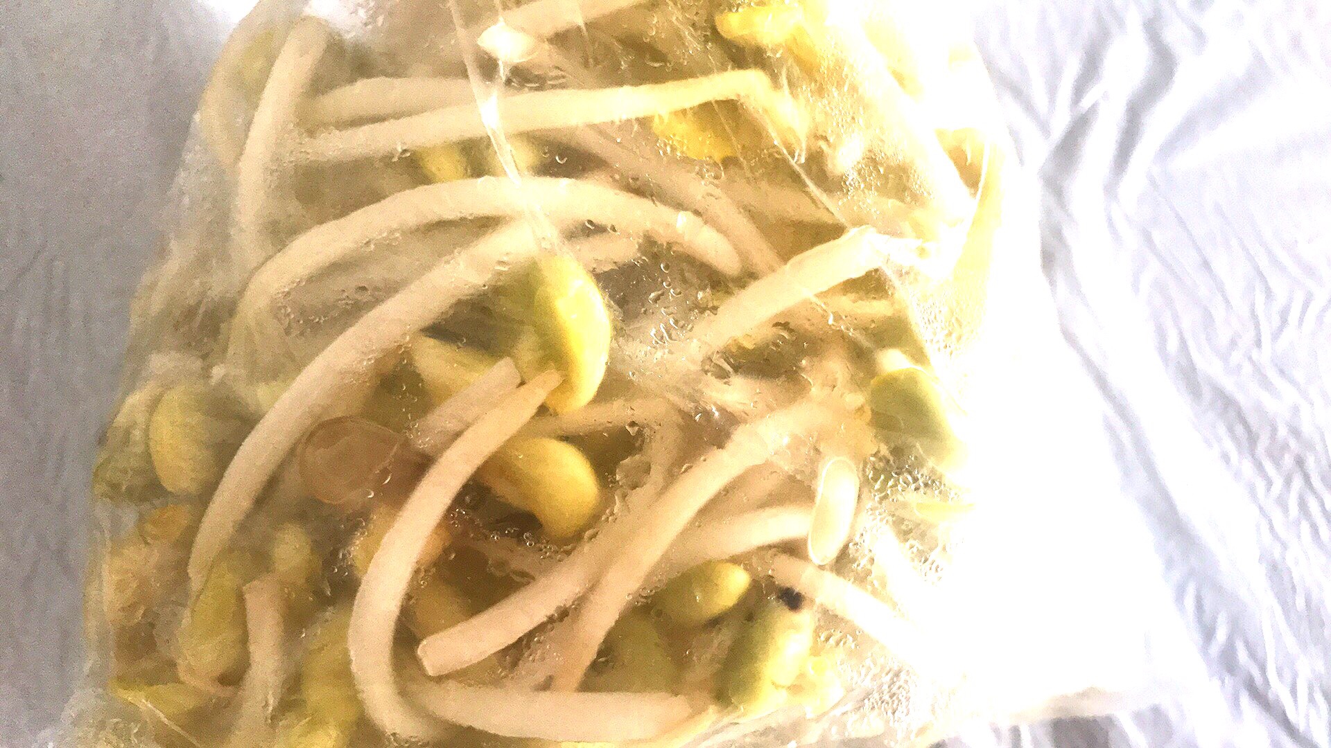 有机的