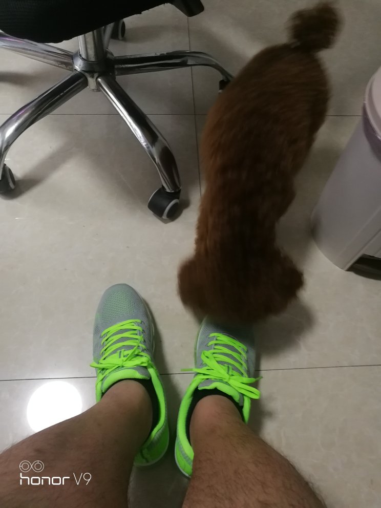 鞋子收到了马上穿上徒步3公里,感觉不错,特别是颜色鲜艳。