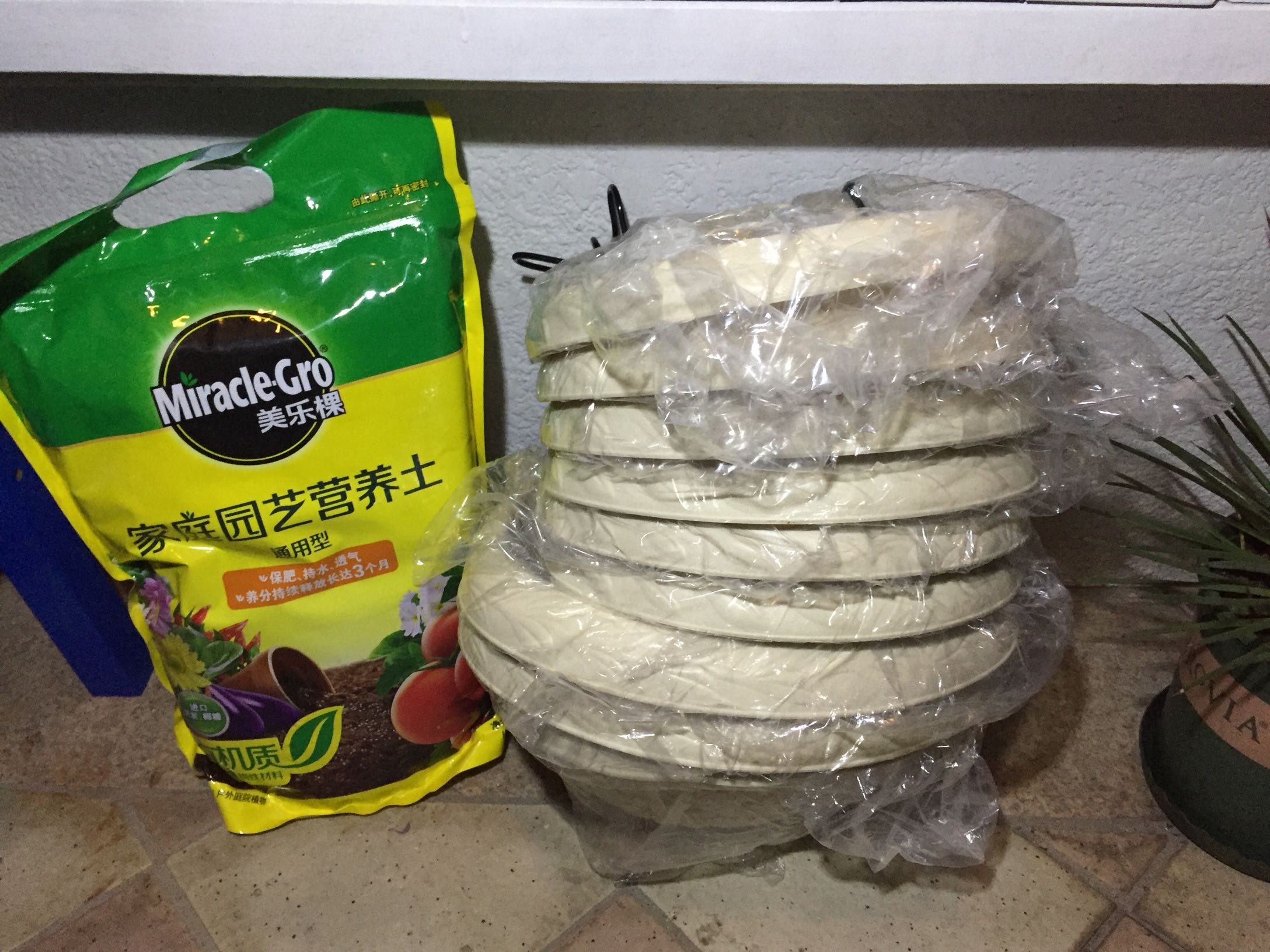 活动买的,非常合适的价 格,很满意。送货也快,周末就可以移盆了。