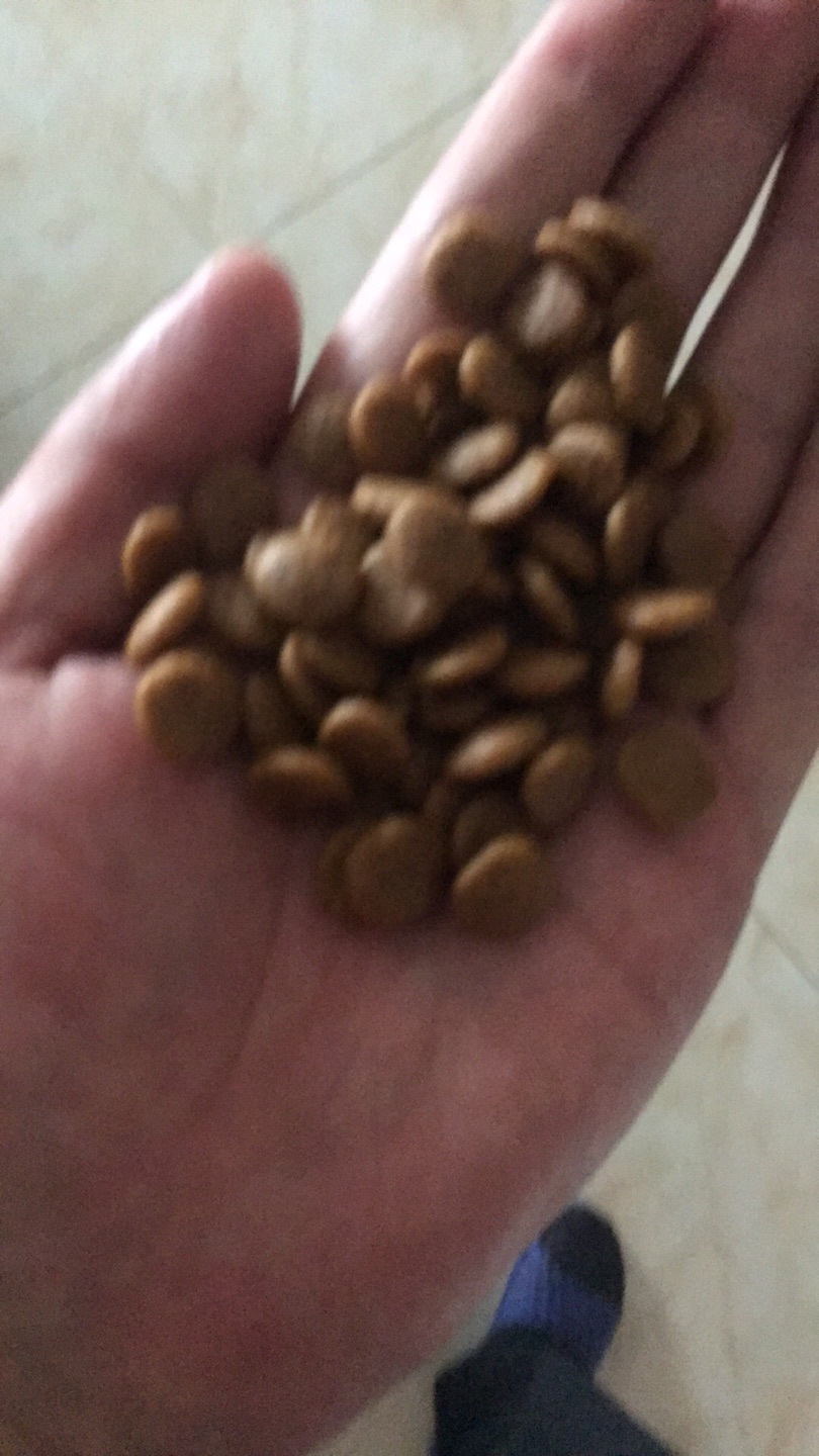 东西很不错,一直在上买东西,值得信赖!