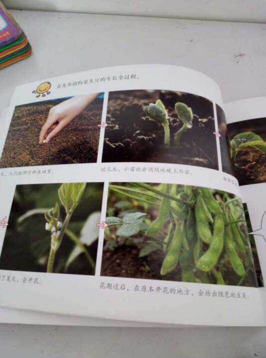 科普就需要实物图.简洁明了.微博绘本达人推荐的.自己就在423过来买了.今年优惠力度一般.书内容很好.物流很快.包装结实.孩子很喜欢.