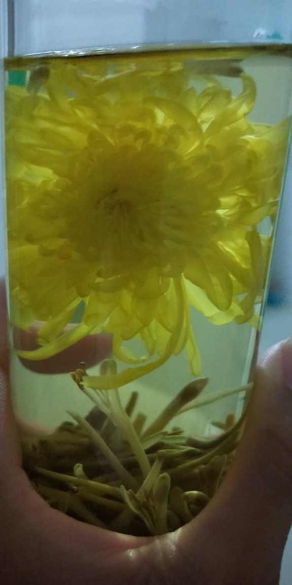 哇!菊花泡开了很漂亮,好大一朵的。淡淡的菊花香。而且独立包装,方便携带,一朵的泡一杯。还不会担心会变潮