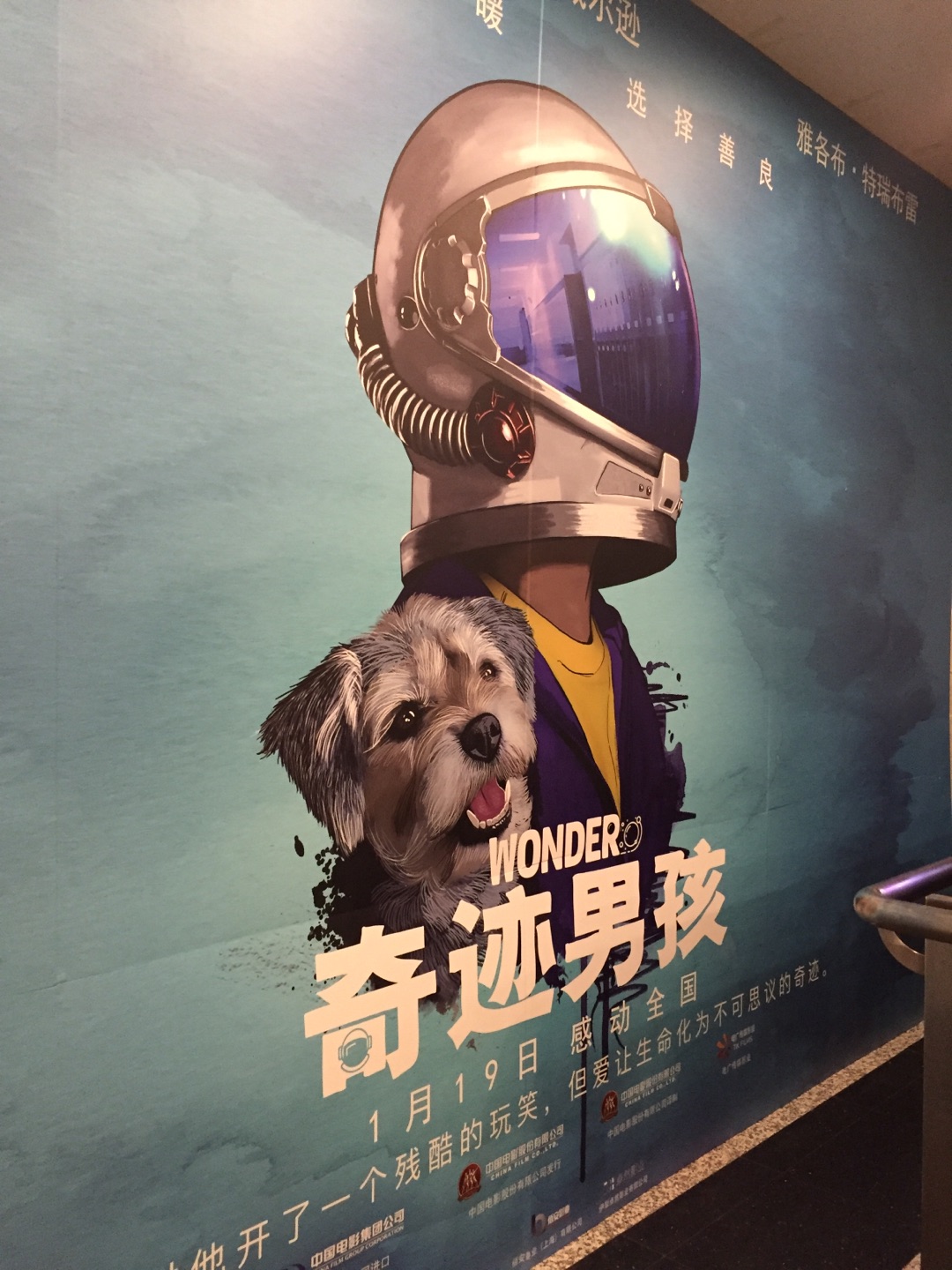 看过电影才来买书的,感觉对于出版物的包装越来越凑合了,第一次寄过来的书,只用了一个塑料袋包装,导致了精装书的内页和封面被运送途中磕的坑坑洼洼的,书也受损了,之后又换货,换来的还算可以。