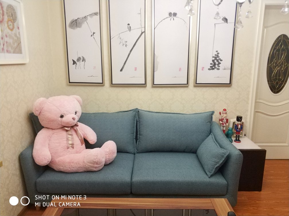 本来没想买这么大的,看到了这个樱粉色超萌款就喜欢的不得了,之前买过这个品牌的豆豆熊,质量很好,放在洗衣机里滚了快2个小时,拿出来之后依然柔软不变形,这次的大熊也是意料之中的好,信赖这个品牌,希望越做越好!