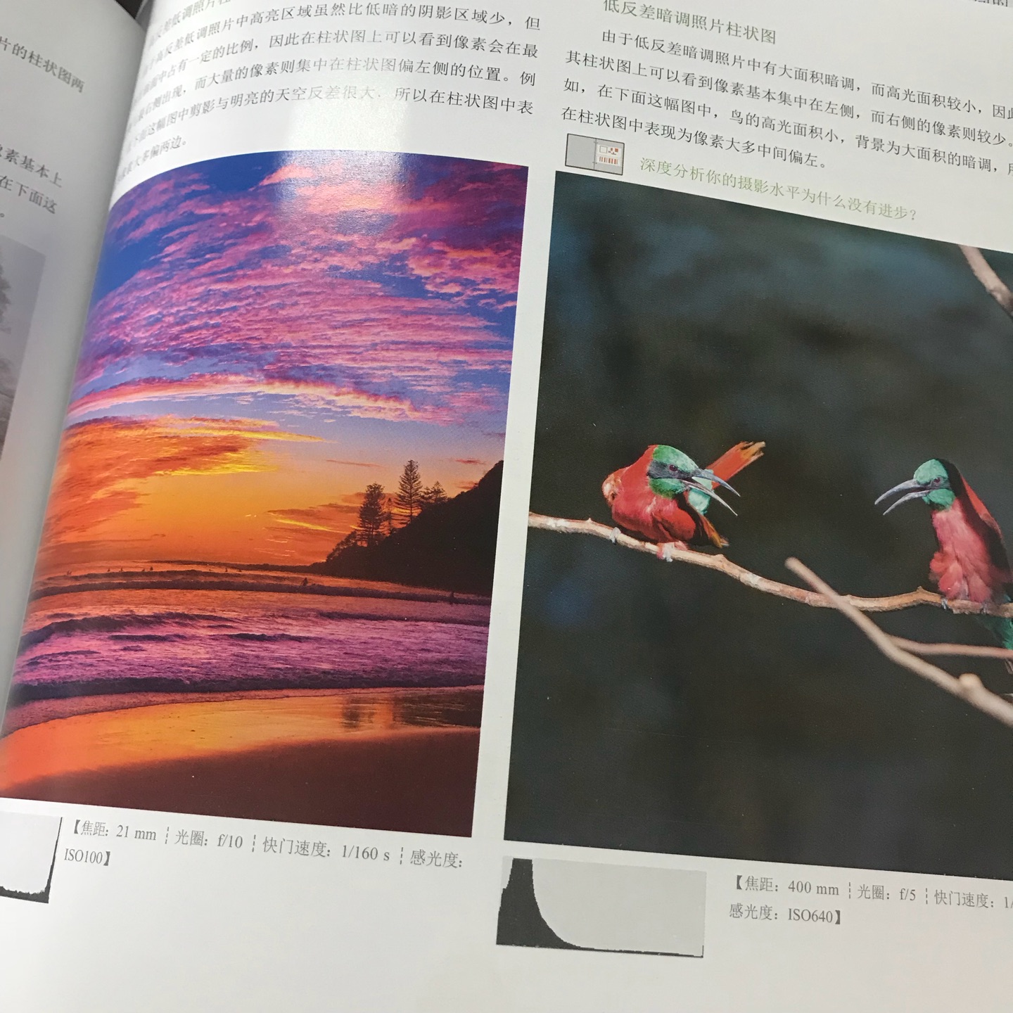快递没得说,隔天拿到,塑封完好,拆开翻看第一感觉是惊艳!摄影书籍不单单是照片和文字的堆砌,手机扫描后发现了一个广阔的新世界哈哈哈哈哈!很神奇的新技术,拓展内容丰富到让人咂舌,满分!