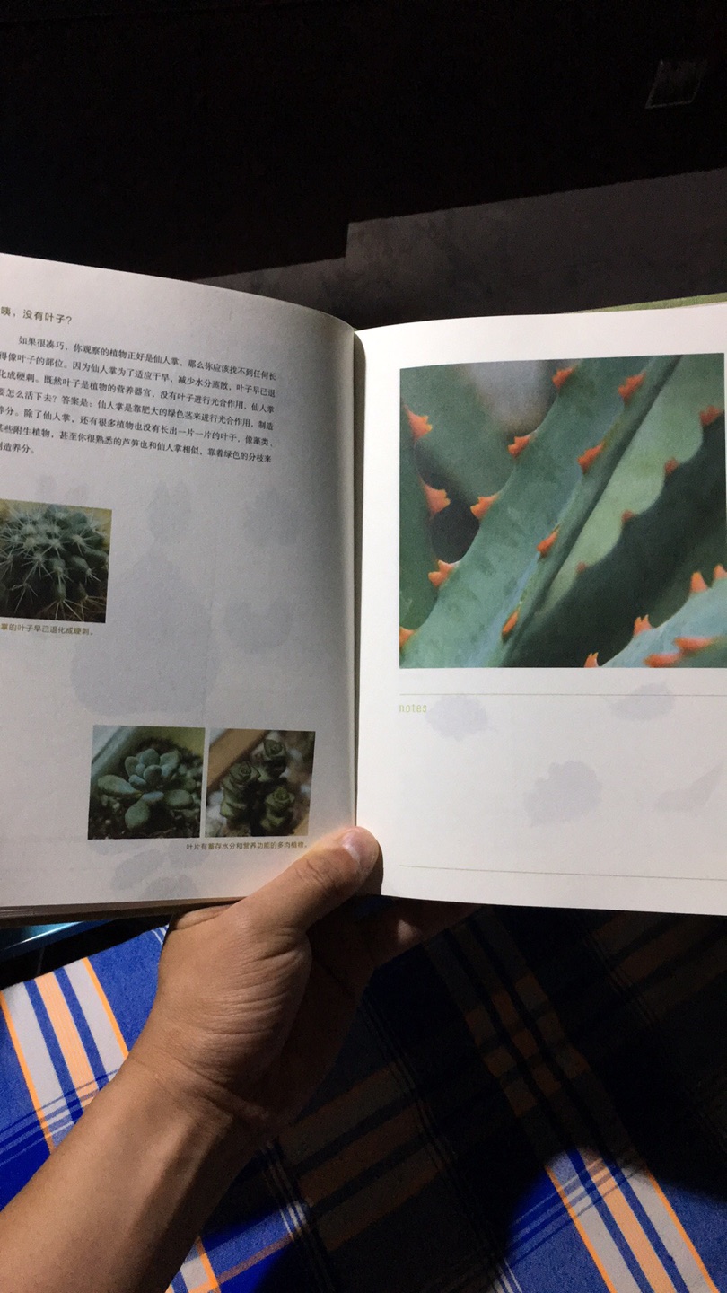 书最大的败笔就是图片太多,图大而无用,没贴合内容。再者,这本书只有简单的知识和方法,没有太多学问,适合不懂方法的父母教授孩子和自然植物亲近。要了解不同植物种类等内容的,千万别买此书。