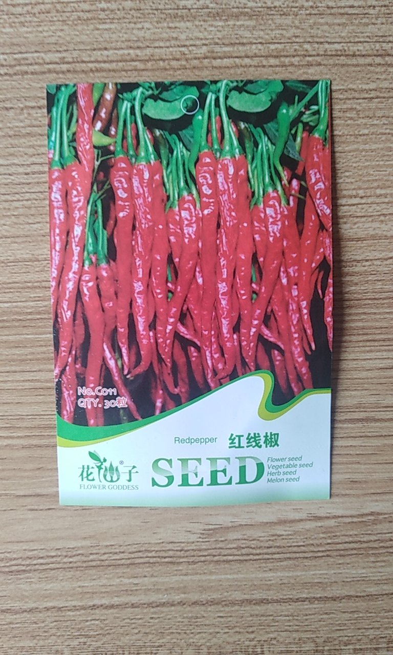 物流很快,给小哥点赞,种下后再评价,