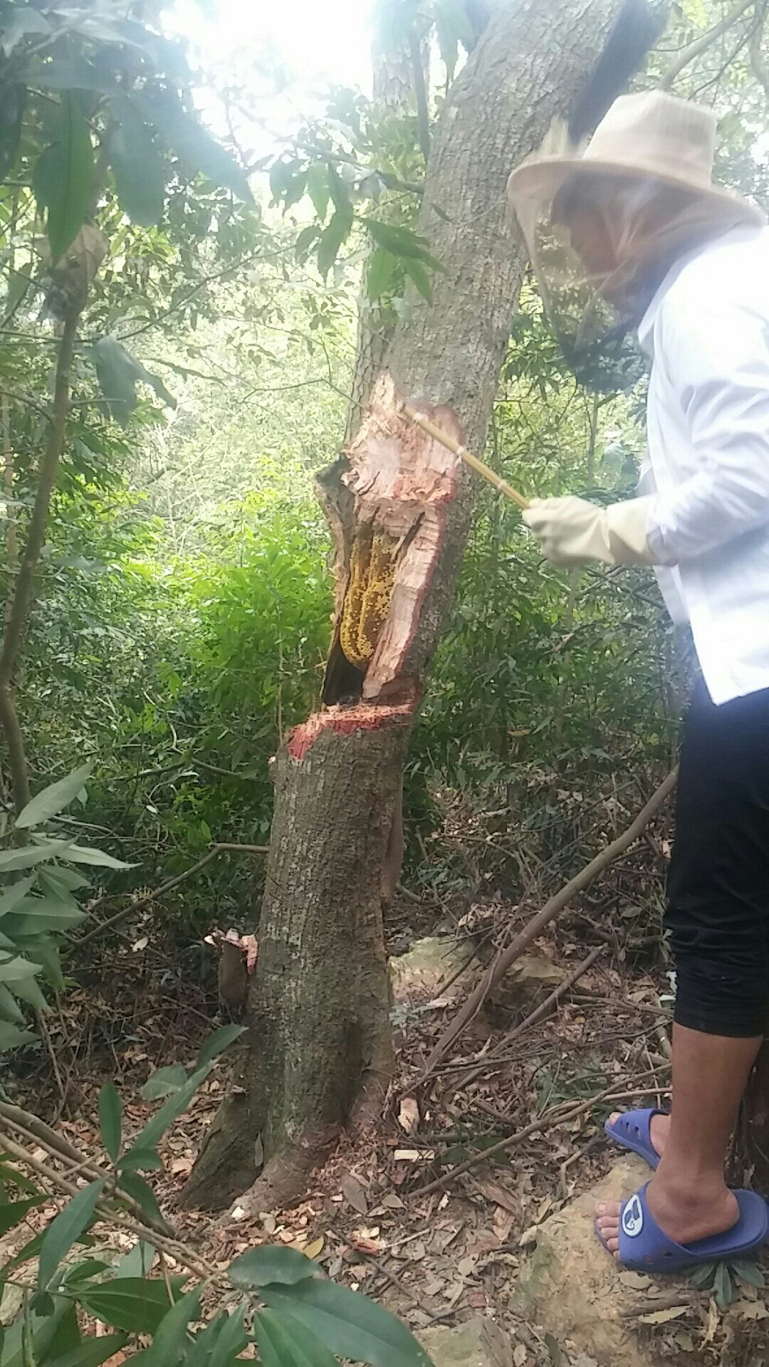 商品看起来不错,还没用过不知道效果如何,应该不错,大品牌可以信赖物流很快,满分