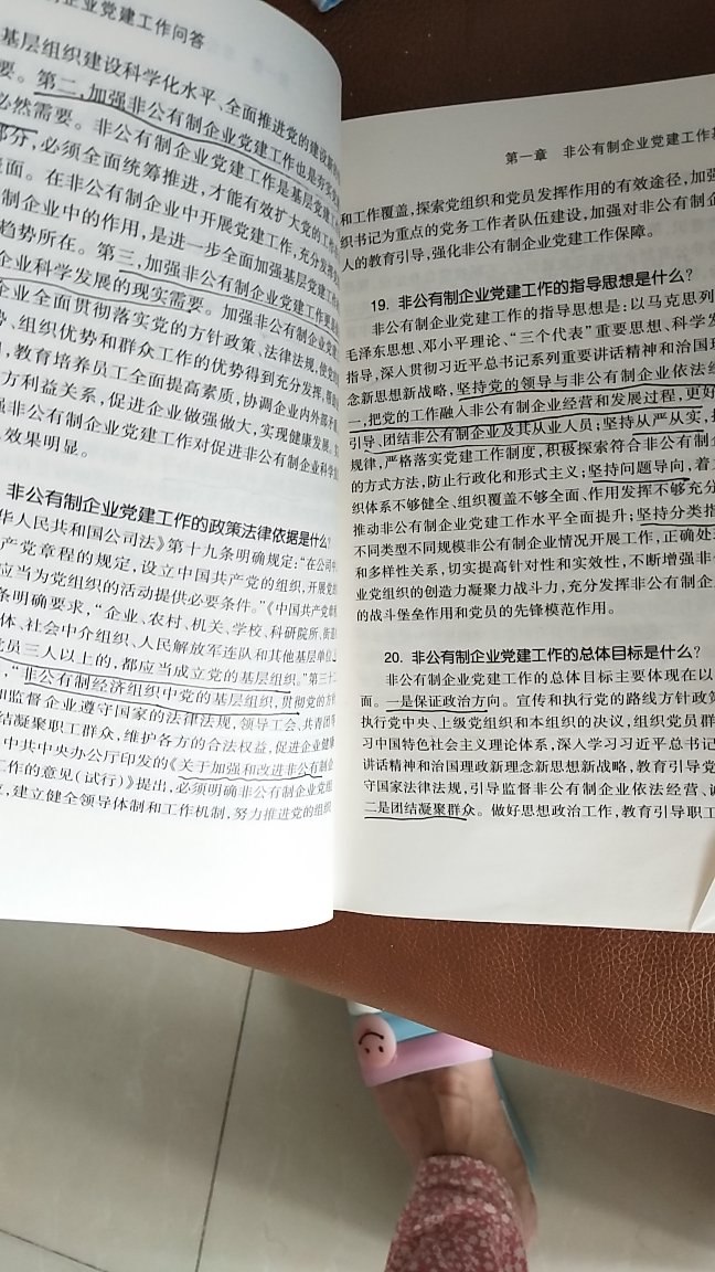 通过问答的形式简明而且简洁地介绍非公党建的相关知识,同时辅以一些经典的案例,能够很快的使初学者入门。