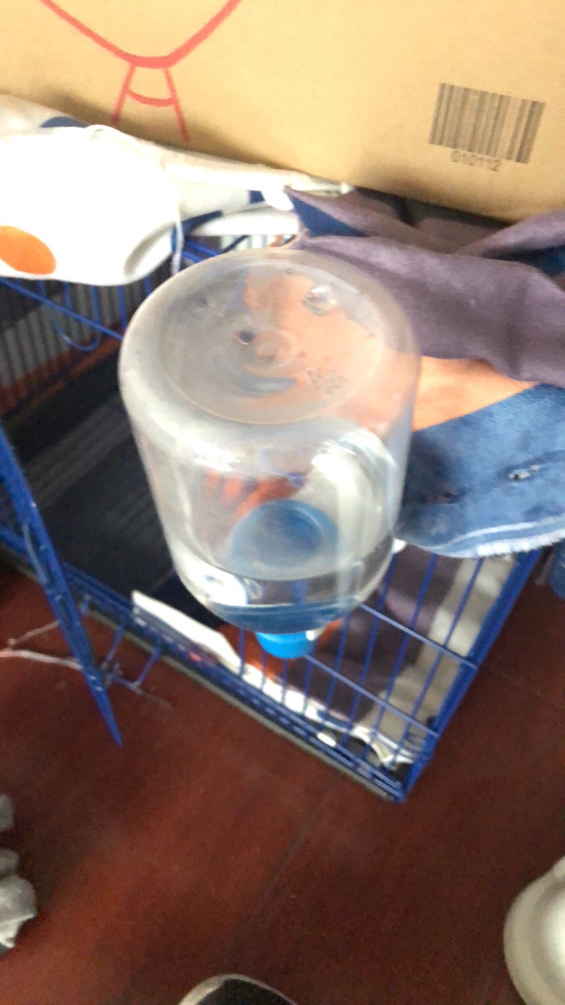 狗狗喝水就不会湿嘴巴了