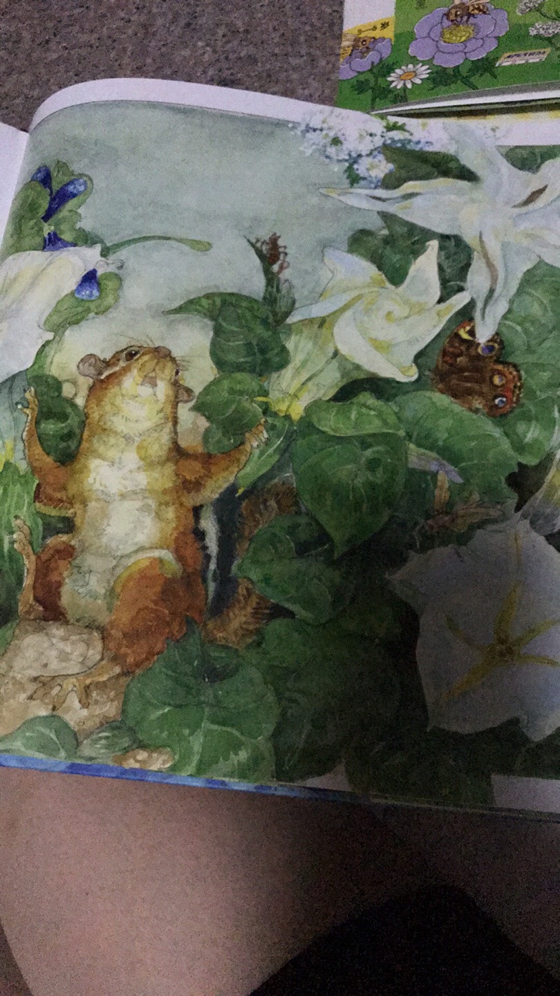 画风浓郁 和平时接触到的绘本不太一样 内容简单,大开本 我们在阅读图画书的过程中,逐渐会形成自己的欣赏角度和评价标准。但是我们很多人会倾向于认为自己学养不足而妄自菲薄,更多的时候唯专家的评价马首是瞻。其实我们完全没必要低估自己的能力,多看多读一定有所收获
