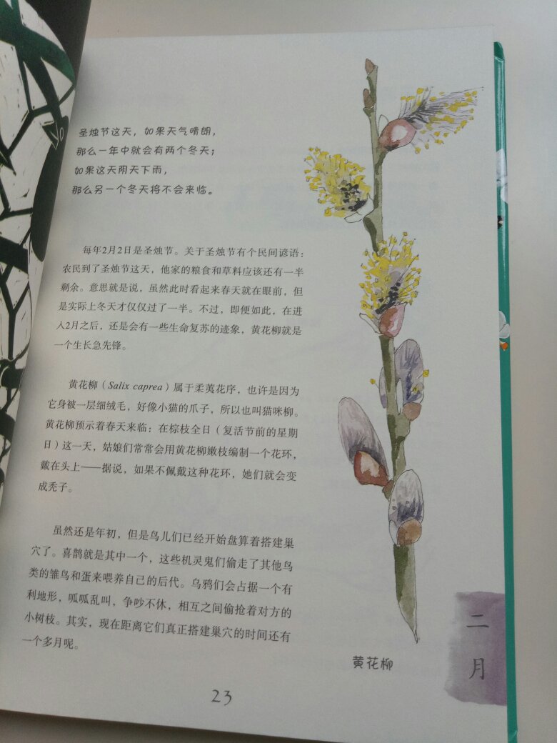 这本书是在博物上推荐的,觉得看起来不错,然后就买了。这本书是从一月到十二月讲的动植物,里面还有一些手工制作,有时间可以做一下。快递也没有破损的哟。总体感觉很不错。