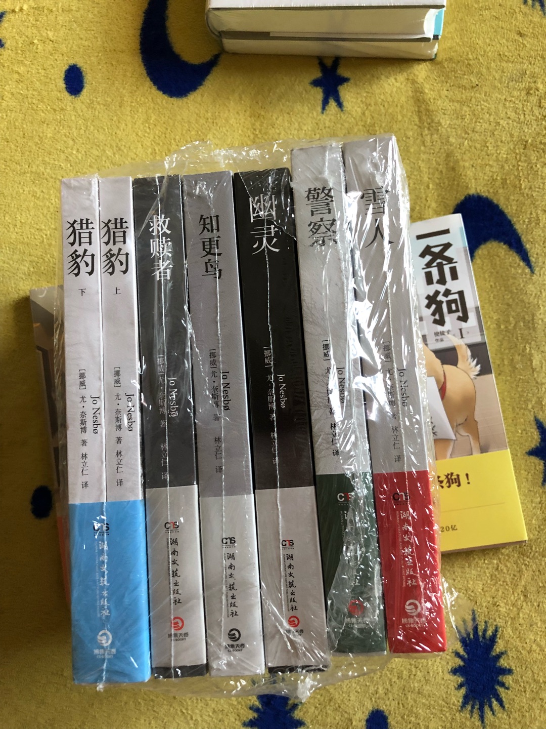 非常棒!价格也很实惠这系列一部比一部黑暗,而这部称得上是压迫感。书中有个宗教层面,关于扭曲的死亡与重生,以及人类扮演上帝,既扮演救赎者,也扮演复仇者