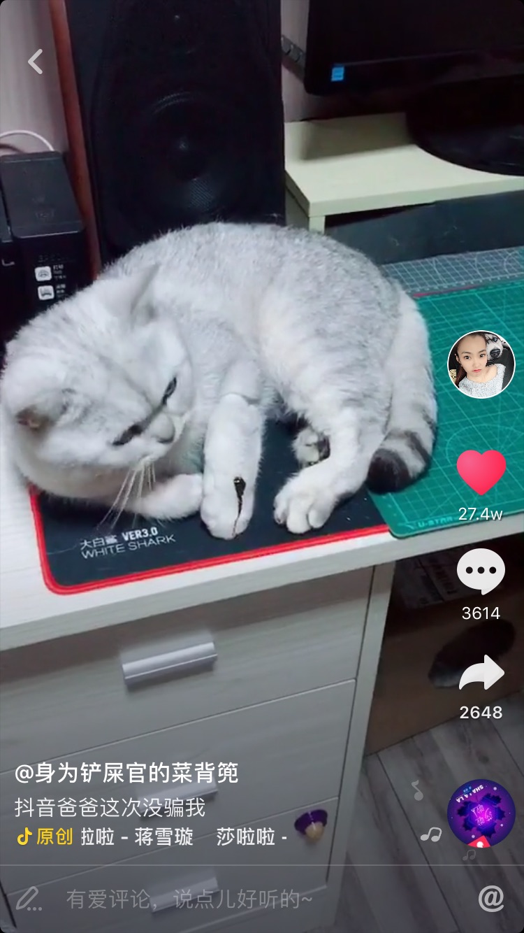 屎盆子 没什么好说的了