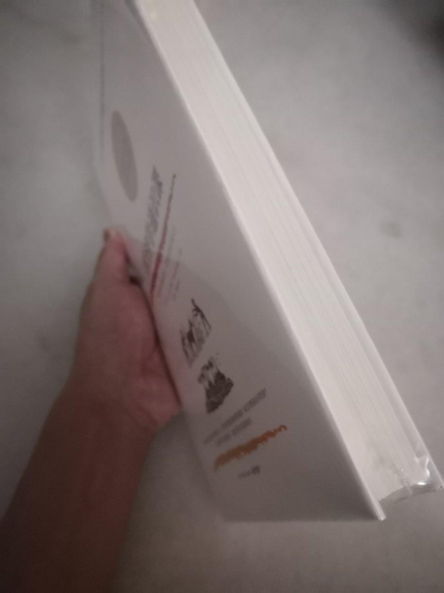 这几天书籍有优惠,买了几本,为了打到折就加多这一本凑数。书的纸张挺好,外型质量不错,金融题材我比较喜欢,希望这个书好看。