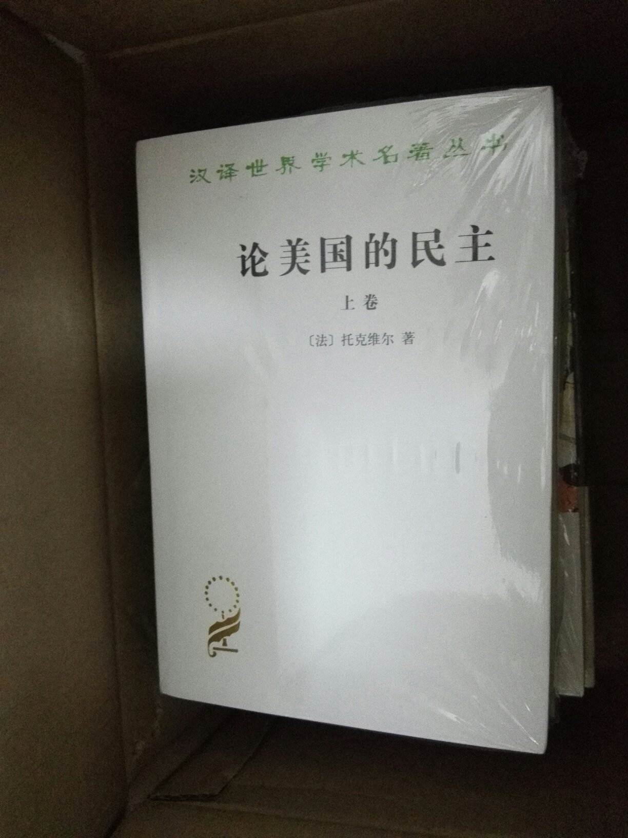 上卷的第一部分讲述美国的政治制度,第二部分对美国的民主进行社会学的分析。下卷分四个部分,以美国为背景发挥其政治哲学和政治社会学思想。