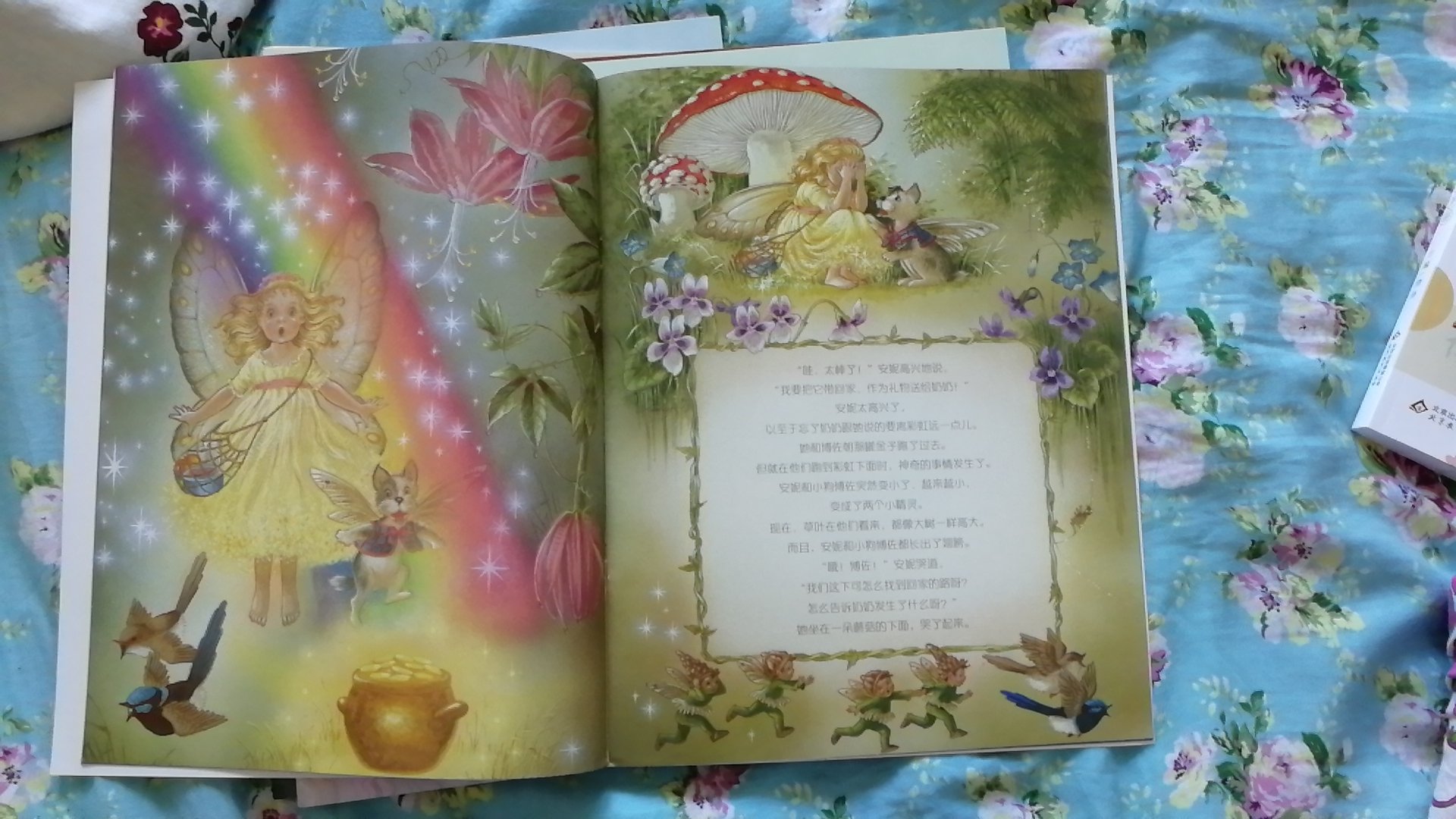 这套书一共有10本每一本画面都很美,画风我很喜欢,是那种细致唯美的,每本书都不厚,特别适合亲子阅读,是大开本,这个价格入手也很划算了