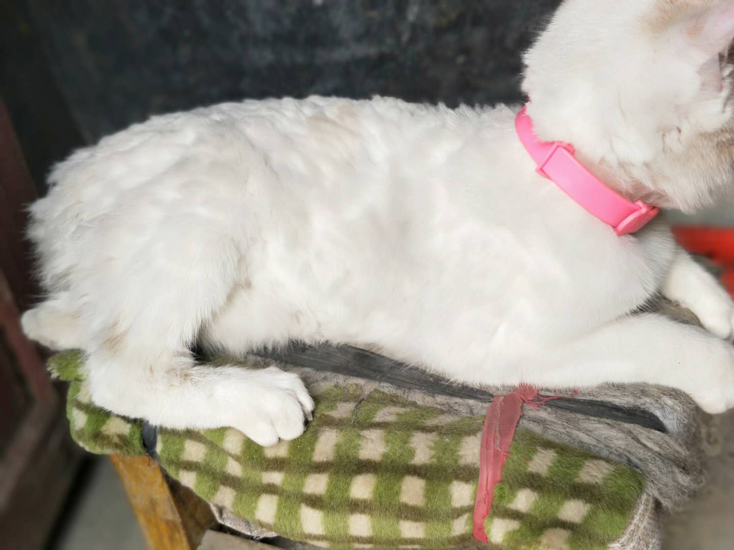 不怎么好用,要揪着毛,才能推掉,