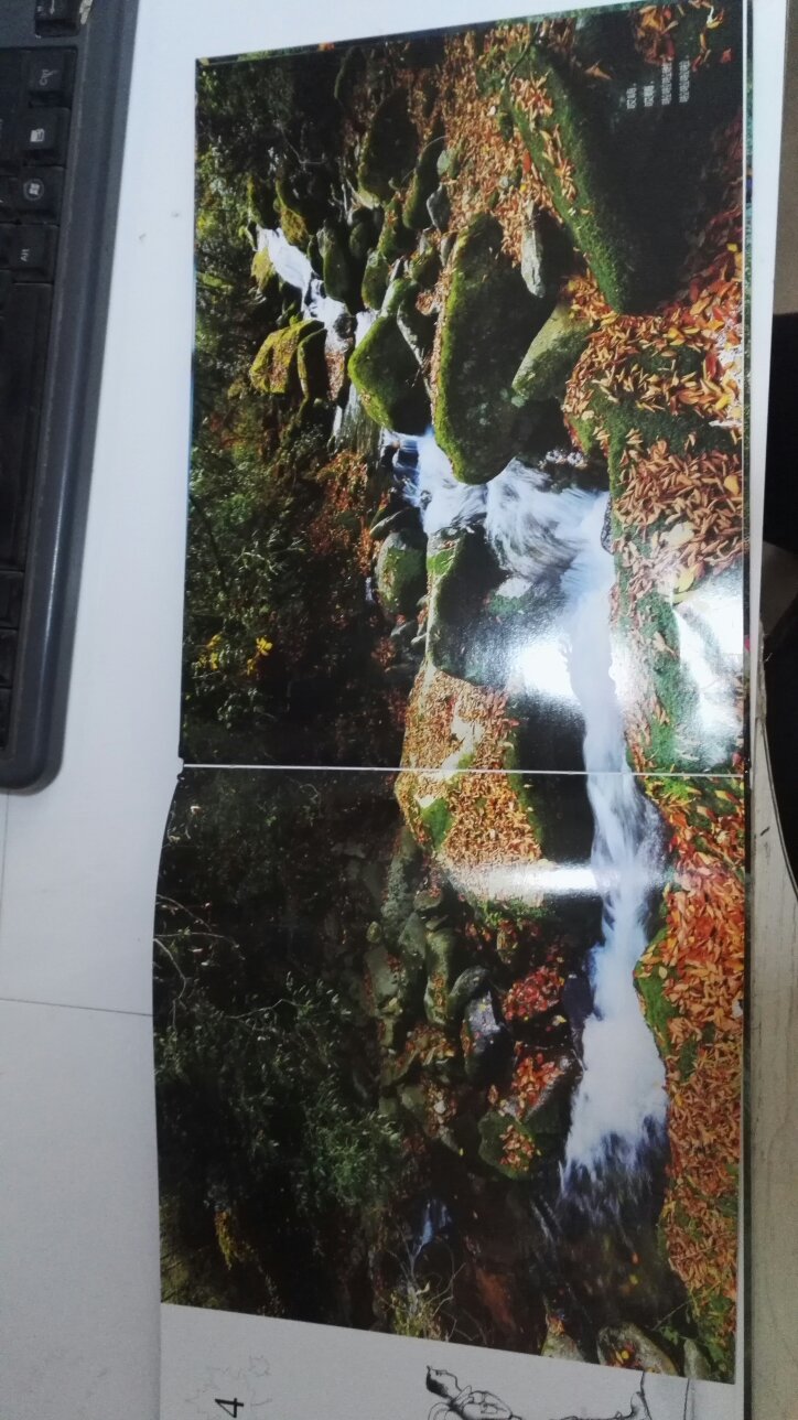 很精美的图片,很受人启迪的话语,这本书不光是小孩,可以从中获得美的享受,也可以让我们从中受到启发,走,我们来一场说走就走的旅行吧,也去听山西唱歌,也去看红花落叶