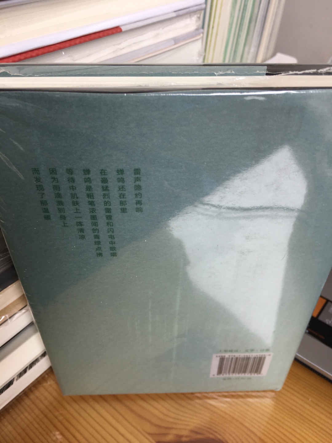 公交车上,字句摇摇晃晃,眼睛流畅地扫过诗行,没记住什么,但是超有感觉。也斯的诗要用国语读还是粤语读比较好呢,要怎么形容也斯的诗呢?充满人间城市的烟火气又不失诗意,温暖淳朴中又夹杂片刻清凉,诗对于他来说更像是文字和意象拼接的游戏。只不过翻到最后都没找到自己一直喜欢的那首,索性自己在书最后补上好了。/ “一个人走过面包店 依稀感到新鲜的热面包 店里的灯光照在玻璃柜上 对于从寒光的柏油路走过来的 连虚构的东西也是温暖的了” / “有时我走到山边看石 / 学习像石一般坚硬 / 生活是连绵的敲凿 /太多阻挡 太多粉碎 / 而我总是一块不称职的石 / 有时想软化 / 有时奢想飞翔”
