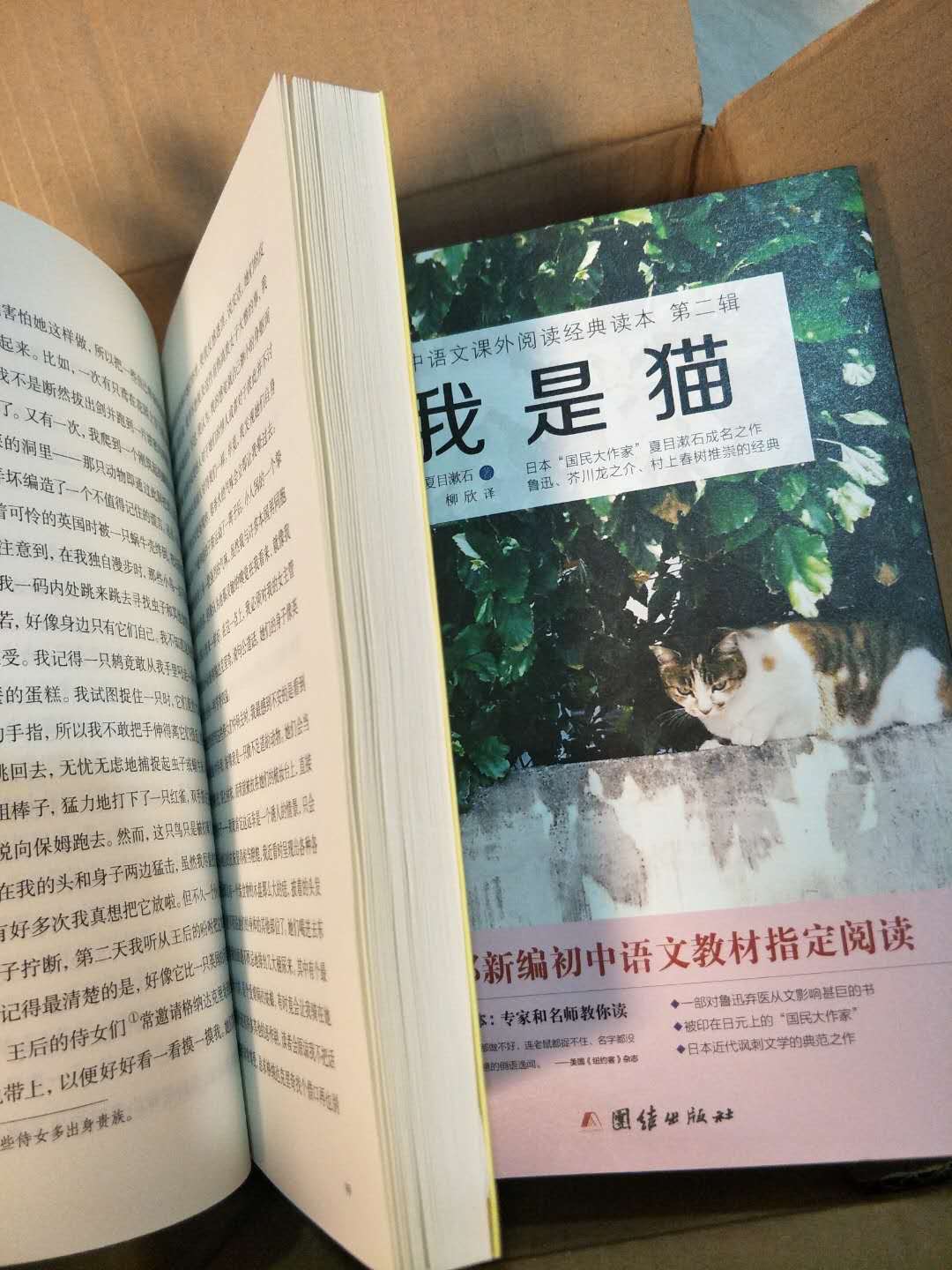整套买的,很划算,书的质量很好,纸质不错,印刷没看出什么错误,买来增加自己的文学修养,以后也能给小孩子看~买了一套,比书店划算很多,纸质也不错,印刷清晰又整齐!下次还会再来!