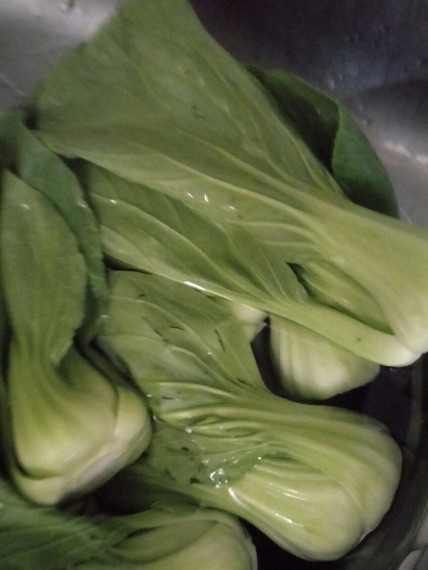 新鲜,一直光顾,快递又好,方便…………