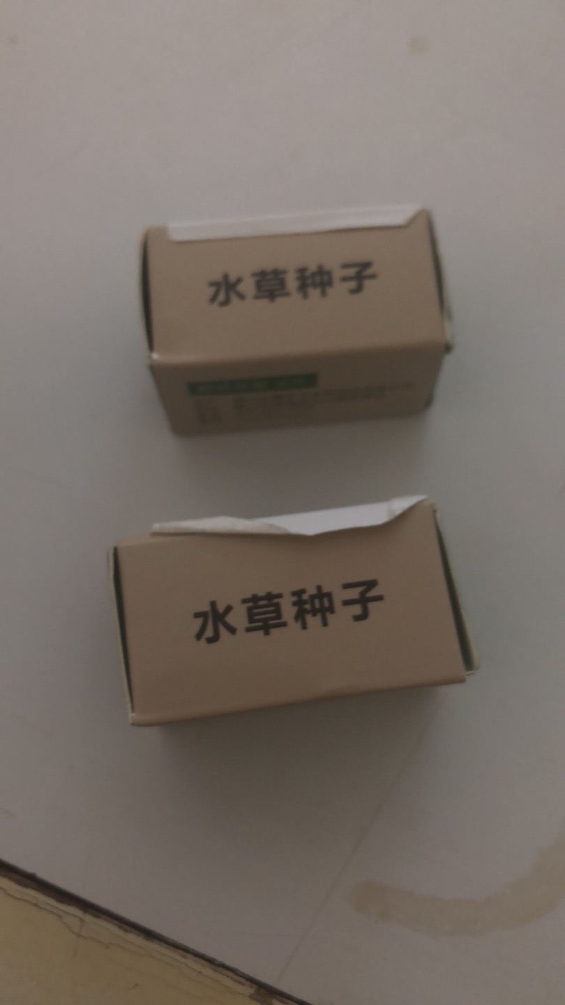 太棒了