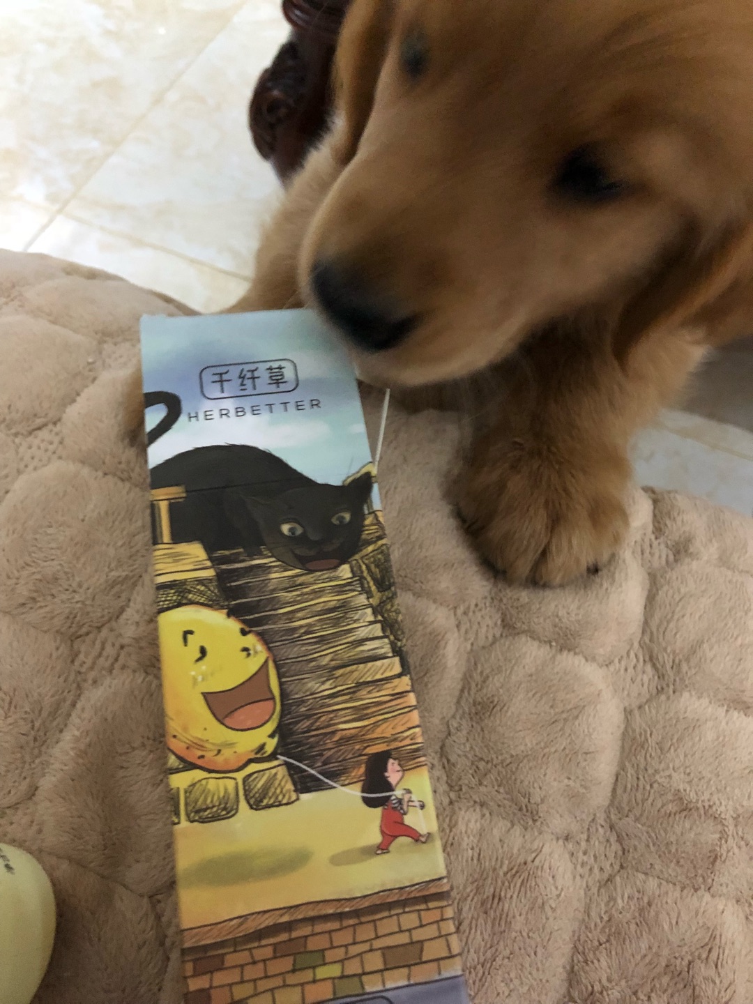 经常买他家的各种水,相信这个也会好用,包装设计很有意思。
