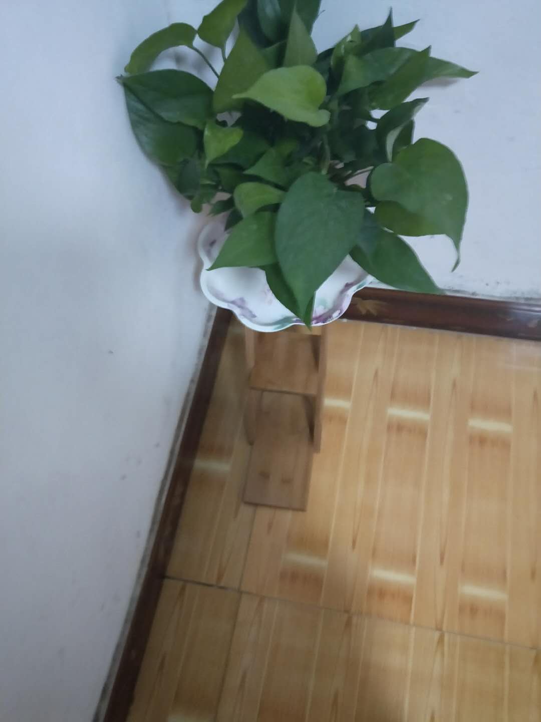 实物好失望,质量太差,价钱贵