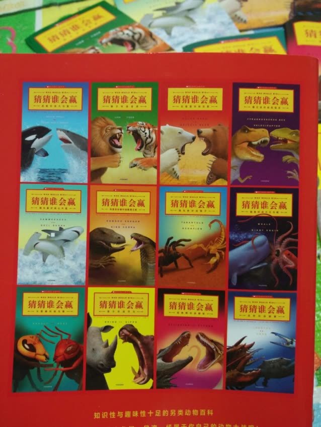 在买东西很多年了,总体感觉很好,售后感觉也好,活动时候力度很大。还会一如既往支持。还会再来。希望多搞活动。哈哈哈哈。。。。。。。。。。。。。